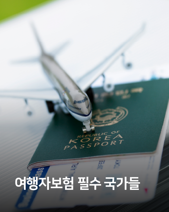 여행자보험 필수 국가들
